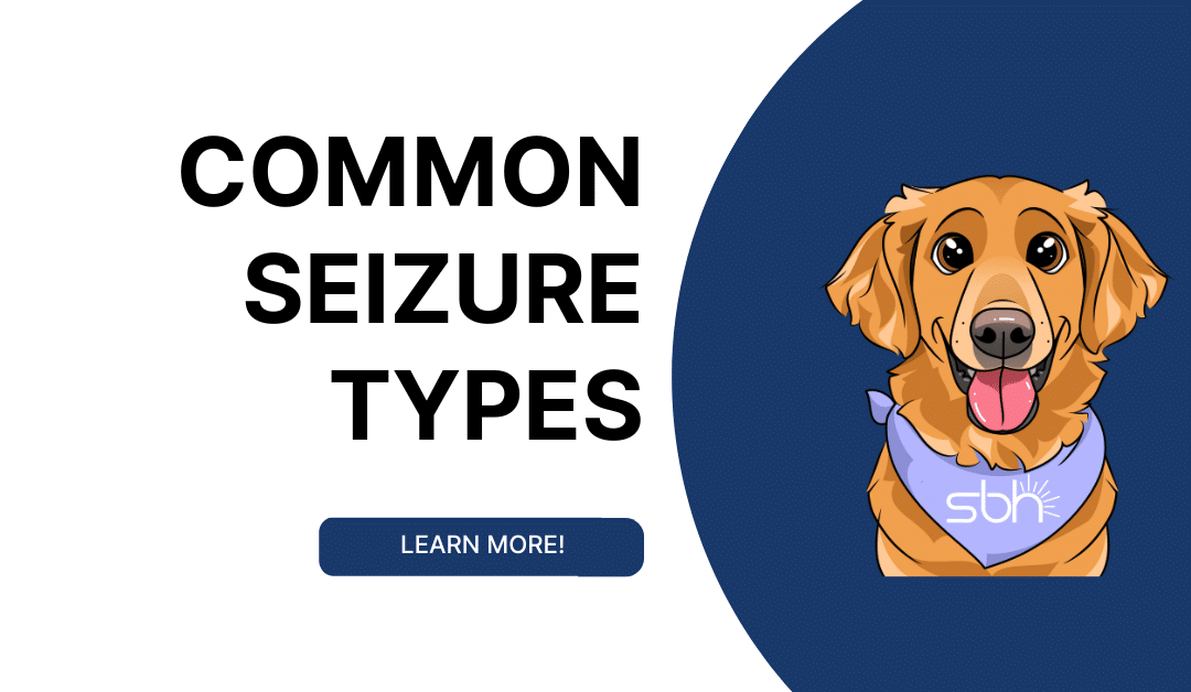 Common Seizure Types