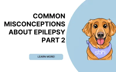 Common Misconceptions About Epilepsy Part 2