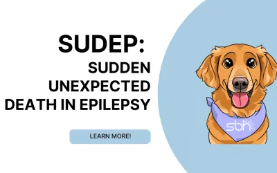 SUDEP: Sudden Unexpected Death in Epilepsy