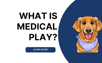 What is Medical Play?